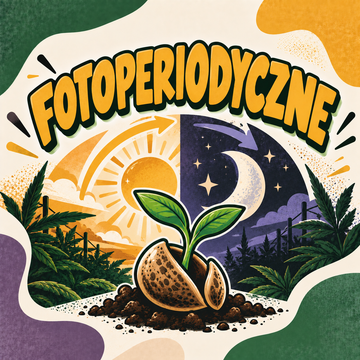 Nasiona fotoperiodyczne